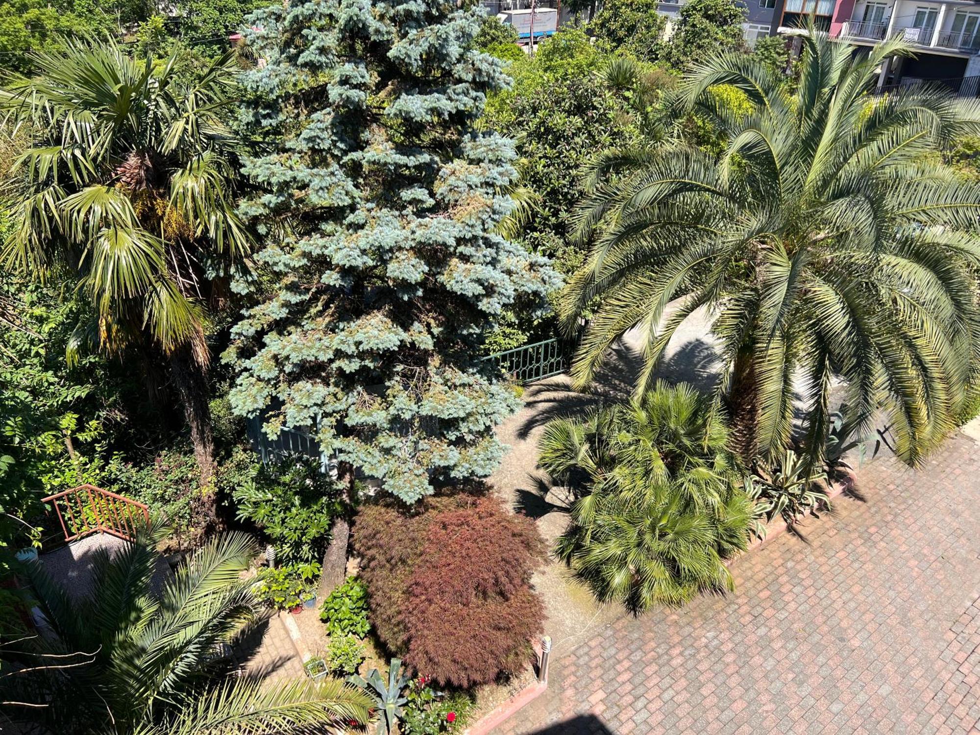 Irakli Guest House Makhinjauri Dış mekan fotoğraf